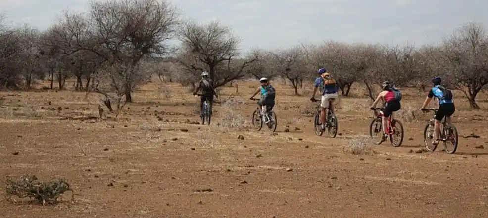 Safari in South Africa